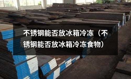不銹鋼能否放冰箱冷凍（不銹鋼能否放冰箱冷凍食物）