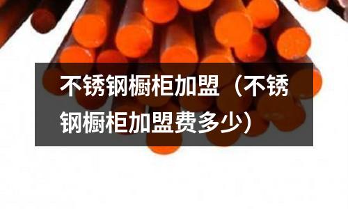 不銹鋼櫥柜加盟(不銹鋼櫥柜加盟費多少)