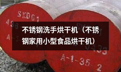 不銹鋼洗手烘干機（不銹鋼家用小型食品烘干機）