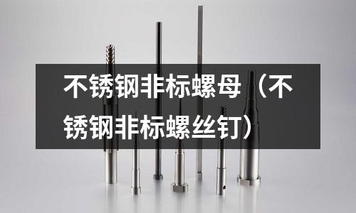 不銹鋼非標螺母(不銹鋼非標螺絲釘)