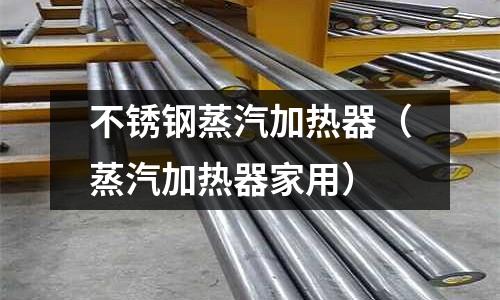 不銹鋼蒸汽加熱器(蒸汽加熱器家用)