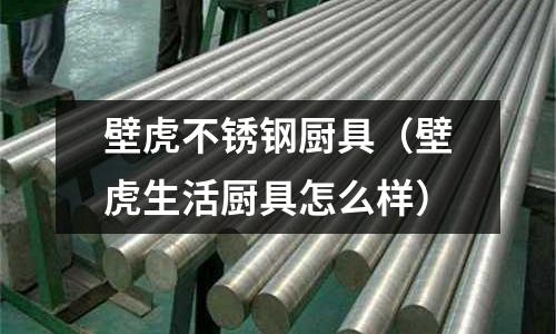 壁虎不銹鋼廚具(壁虎生活廚具怎么樣)