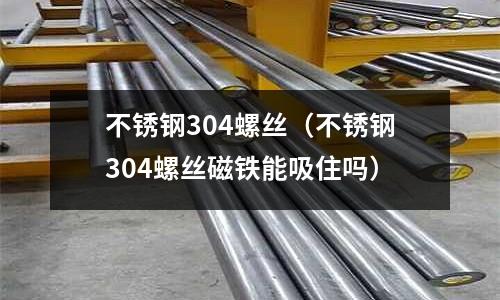 不銹鋼304螺絲（不銹鋼304螺絲磁鐵能吸住嗎）