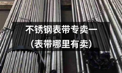 不銹鋼表帶專賣一(表帶哪里有賣)