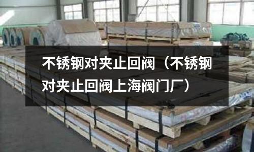 不銹鋼對夾止回閥（不銹鋼對夾止回閥上海閥門廠）