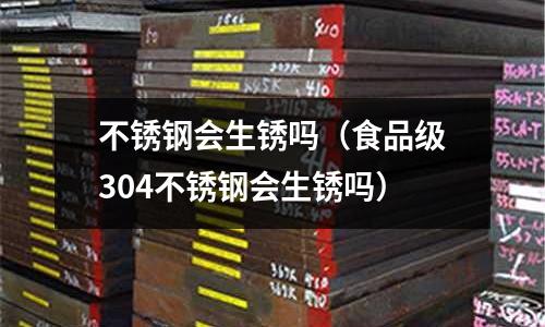 不銹鋼會生銹嗎（食品級304不銹鋼會生銹嗎）