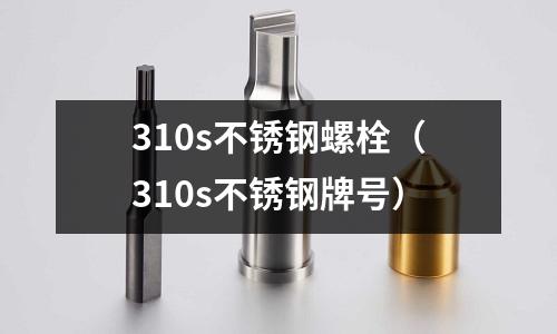 310s不銹鋼螺栓（310s不銹鋼牌號）