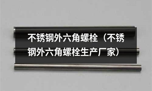 不銹鋼外六角螺栓(不銹鋼外六角螺栓生產廠家)