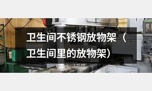 衛生間不銹鋼放物架(衛生間里的放物架)