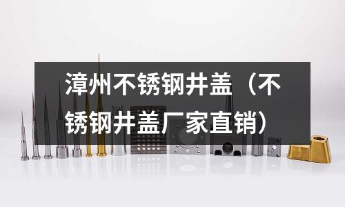 漳州不銹鋼井蓋(不銹鋼井蓋廠家直銷)