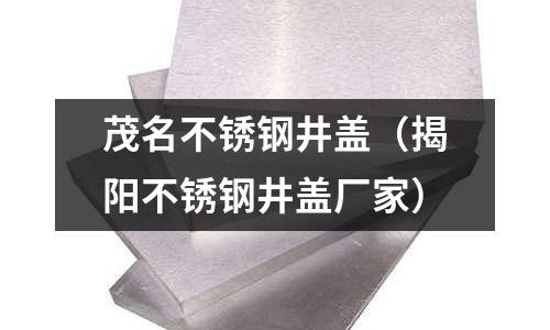 茂名不銹鋼井蓋(揭陽不銹鋼井蓋廠家)