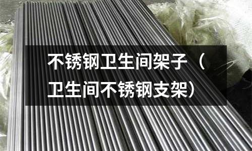 不銹鋼衛(wèi)生間架子(衛(wèi)生間不銹鋼支架)