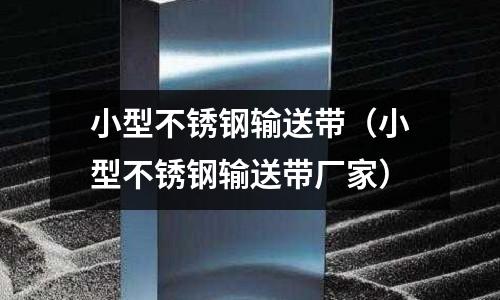 小型不銹鋼輸送帶（小型不銹鋼輸送帶廠家）