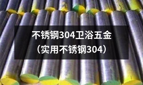 不銹鋼304衛浴五金(實用不銹鋼304)