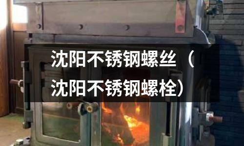 沈陽不銹鋼螺絲（沈陽不銹鋼螺栓）