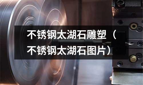 不銹鋼太湖石雕塑(不銹鋼太湖石圖片)