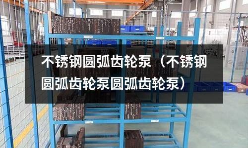 不銹鋼圓弧齒輪泵(不銹鋼圓弧齒輪泵圓弧齒輪泵)