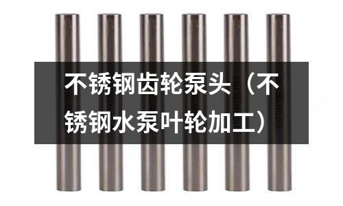 不銹鋼齒輪泵頭（不銹鋼水泵葉輪加工）