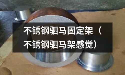 不銹鋼駟馬固定架（不銹鋼駟馬架感覺）