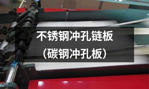 不銹鋼沖孔鏈板（碳鋼沖孔板）