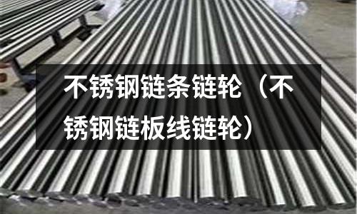 不銹鋼鏈條鏈輪（不銹鋼鏈板線鏈輪）