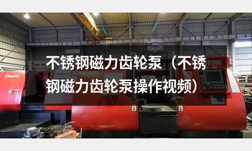 不銹鋼磁力齒輪泵(不銹鋼磁力齒輪泵操作視頻)