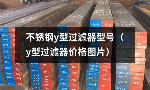 不銹鋼y型過濾器型號(y型過濾器價格圖片)