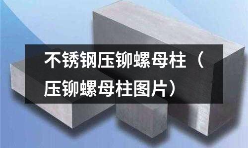 不銹鋼壓鉚螺母柱(壓鉚螺母柱圖片)