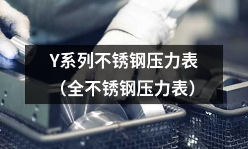 Y系列不銹鋼壓力表(全不銹鋼壓力表)