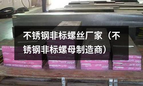 不銹鋼非標螺絲廠家（不銹鋼非標螺母制造商）