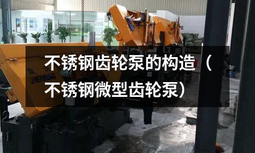 不銹鋼齒輪泵的構造（不銹鋼微型齒輪泵）