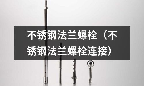 不銹鋼法蘭螺栓(不銹鋼法蘭螺栓連接)