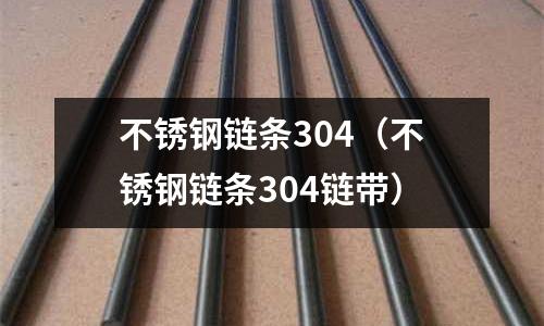 不銹鋼鏈條304(不銹鋼鏈條304鏈帶)
