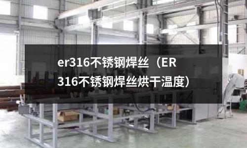 er316不銹鋼焊絲(ER316不銹鋼焊絲烘干溫度)
