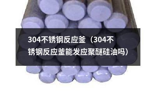 304不銹鋼反應(yīng)釜（304不銹鋼反應(yīng)釜能發(fā)應(yīng)聚醚硅油嗎）