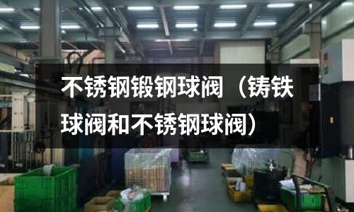 不銹鋼鍛鋼球閥（鑄鐵球閥和不銹鋼球閥）