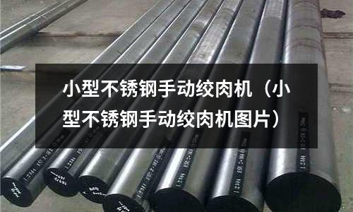 小型不銹鋼手動絞肉機(小型不銹鋼手動絞肉機圖片)