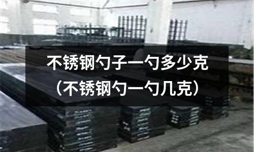 不銹鋼勺子一勺多少克(不銹鋼勺一勺幾克)