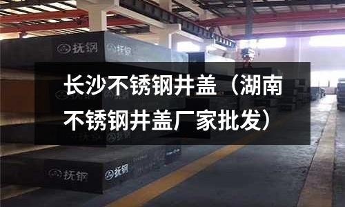長沙不銹鋼井蓋(湖南不銹鋼井蓋廠家批發)