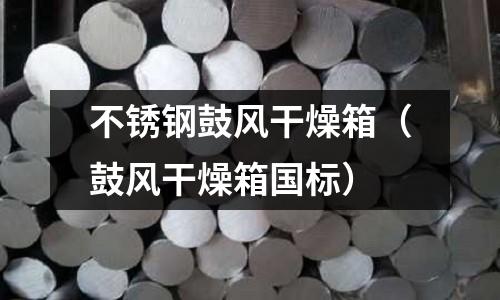 不銹鋼鼓風干燥箱(鼓風干燥箱國標)