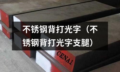 不銹鋼背打光字(不銹鋼背打光字支腿)