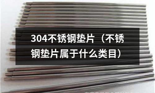 304不銹鋼墊片(不銹鋼墊片屬于什么類目)