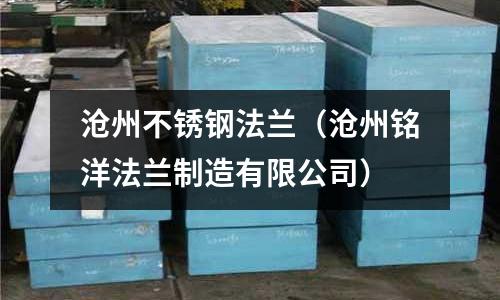 滄州不銹鋼法蘭(滄州銘洋法蘭制造有限公司)