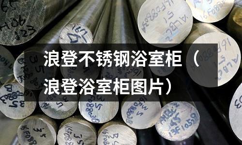 浪登不銹鋼浴室柜(浪登浴室柜圖片)