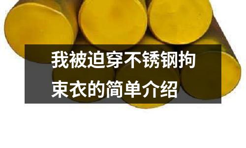 我被迫穿不銹鋼拘束衣的簡單介紹