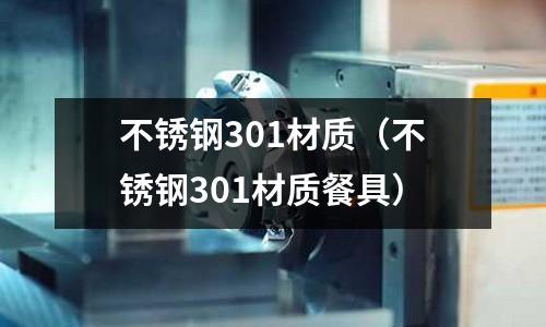 不銹鋼301材質(zhì)(不銹鋼301材質(zhì)餐具)