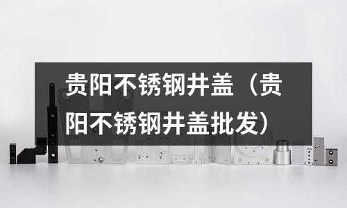 貴陽不銹鋼井蓋(貴陽不銹鋼井蓋批發)