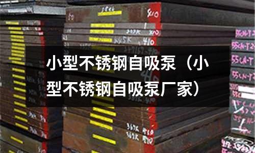 小型不銹鋼自吸泵（小型不銹鋼自吸泵廠家）