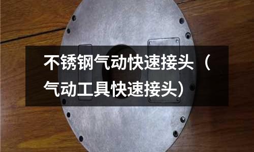 不銹鋼氣動快速接頭（氣動工具快速接頭）