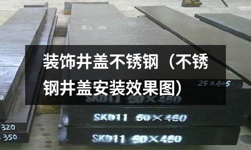 裝飾井蓋不銹鋼(不銹鋼井蓋安裝效果圖)